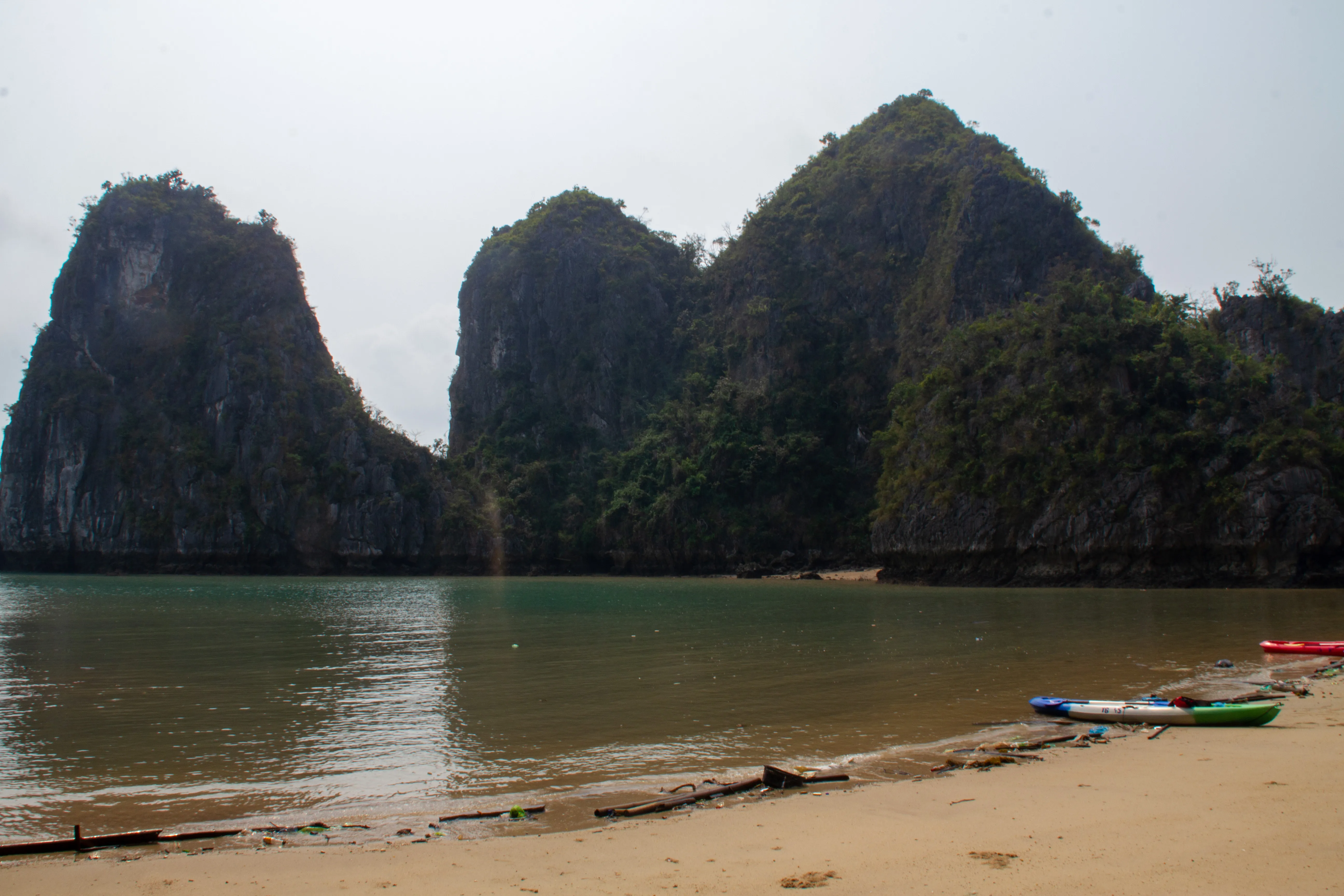 More plastic floating along the beach